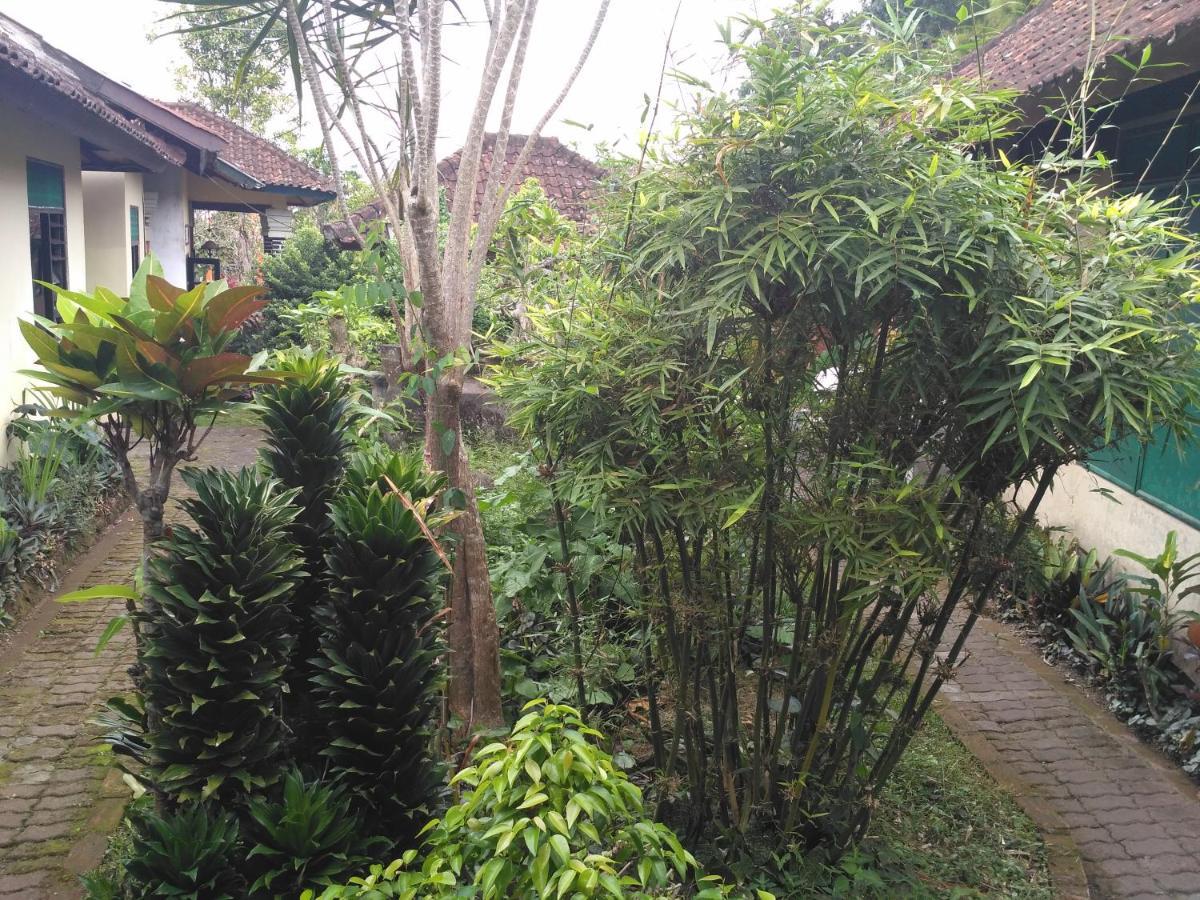 Dhangin Taman Karangasem Екстериор снимка