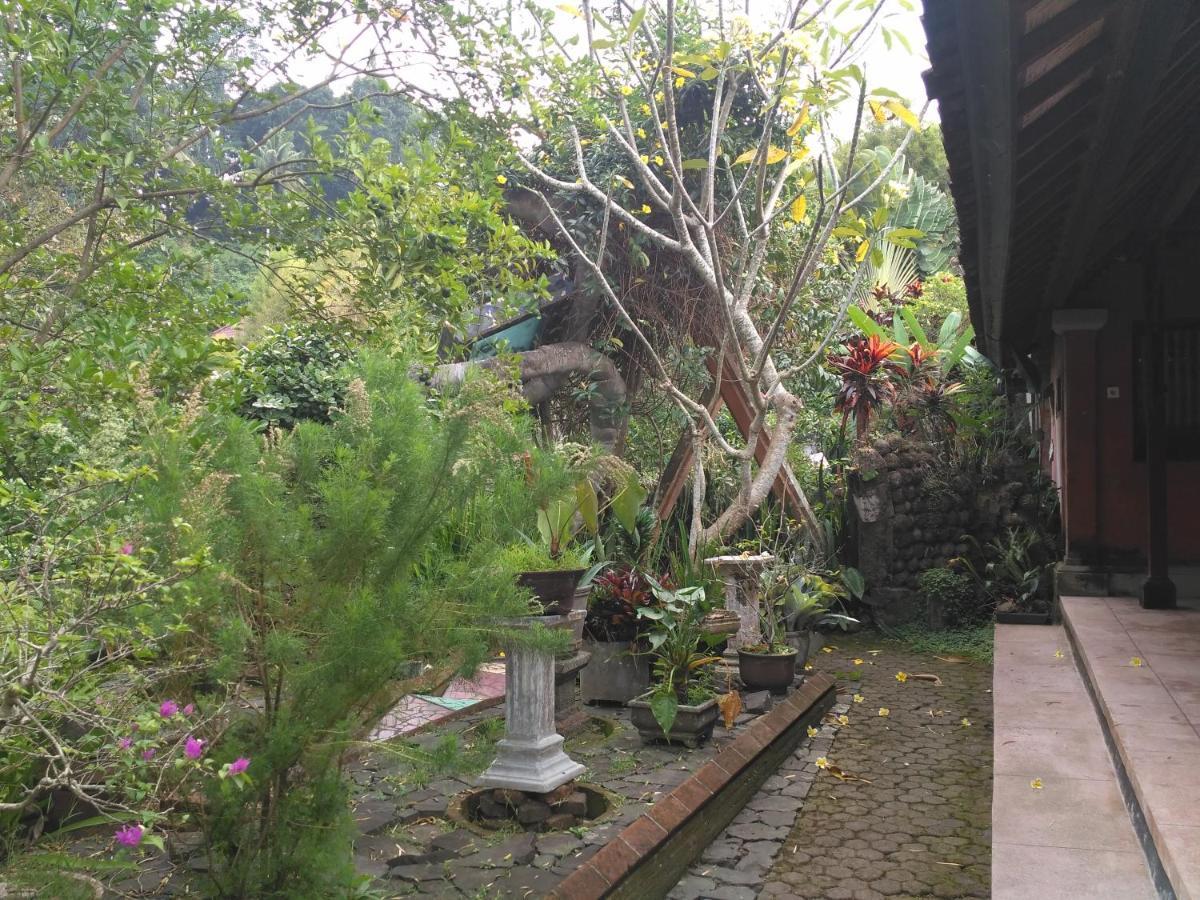 Dhangin Taman Karangasem Екстериор снимка